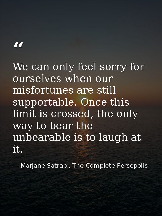 We can only feel sorry for ourselves when our misfortunes are still supportable. Once this limit is crossed, the only wa — Marjane Satrapi, The Complete Persepolis