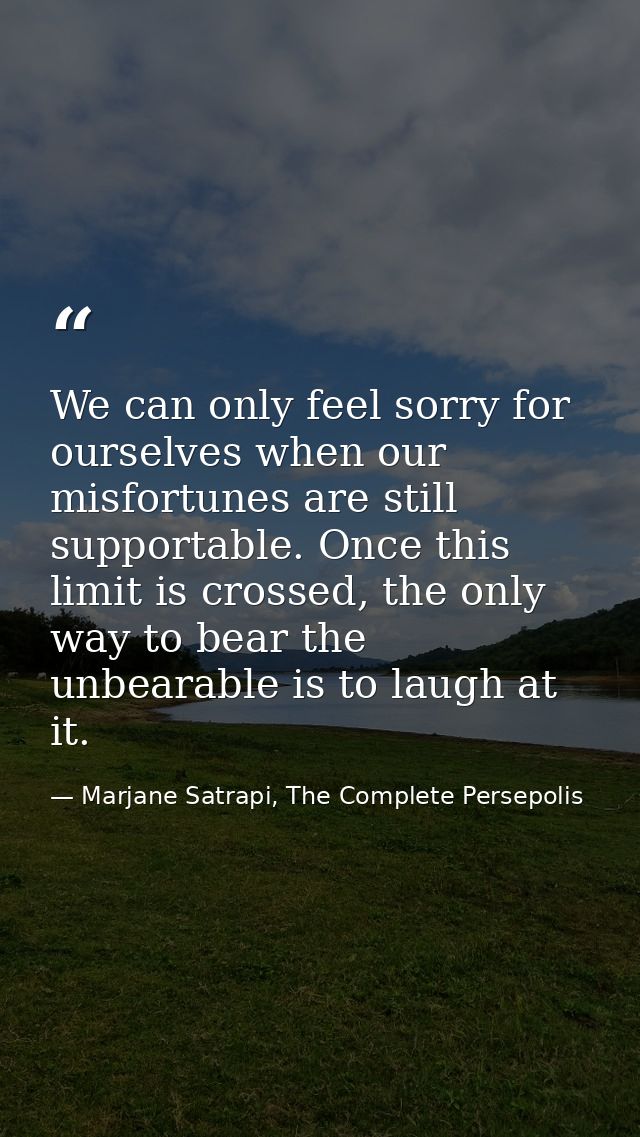 We can only feel sorry for ourselves when our misfortunes are still supportable. Once this limit is crossed, the only wa — Marjane Satrapi, The Complete Persepolis