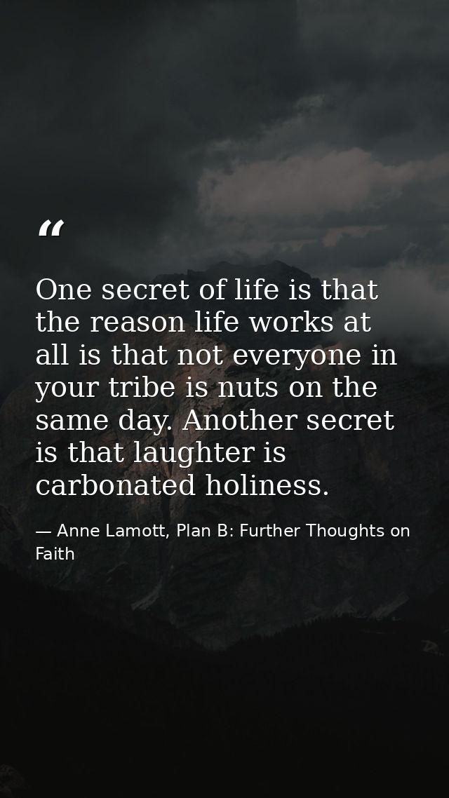 One secret of life is that the reason life works at all is that not everyone in your tribe is nuts on the same day. Anot — Anne Lamott, Plan B: Further Thoughts on Faith