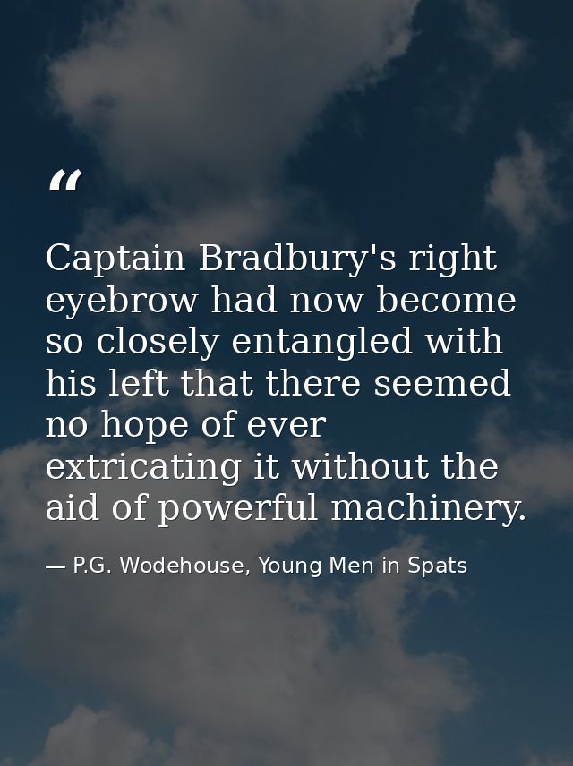 Captain Bradbury's right eyebrow had now become so closely entangled with his left that there seemed no hope of ever ext — P.G. Wodehouse, Young Men in Spats