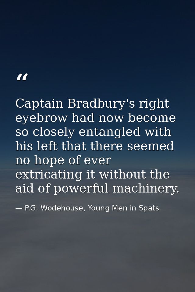 Captain Bradbury's right eyebrow had now become so closely entangled with his left that there seemed no hope of ever ext — P.G. Wodehouse, Young Men in Spats