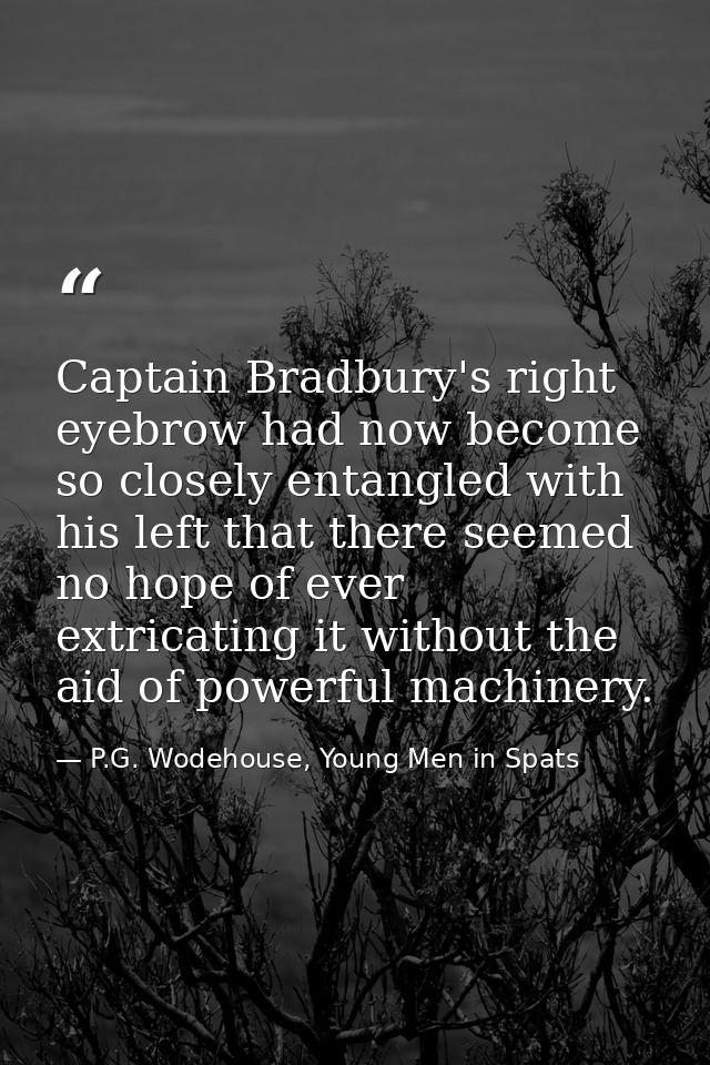 Captain Bradbury's right eyebrow had now become so closely entangled with his left that there seemed no hope of ever ext — P.G. Wodehouse, Young Men in Spats