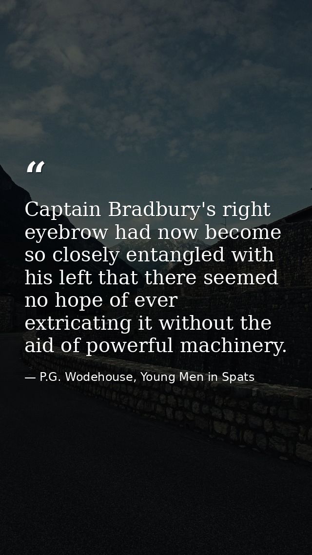 Captain Bradbury's right eyebrow had now become so closely entangled with his left that there seemed no hope of ever ext — P.G. Wodehouse, Young Men in Spats