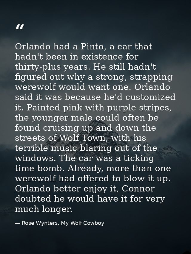 Orlando had a Pinto, a car that hadn't been in existence for thirty-plus years. He still hadn't figured out why a strong — Rose Wynters, My Wolf Cowboy