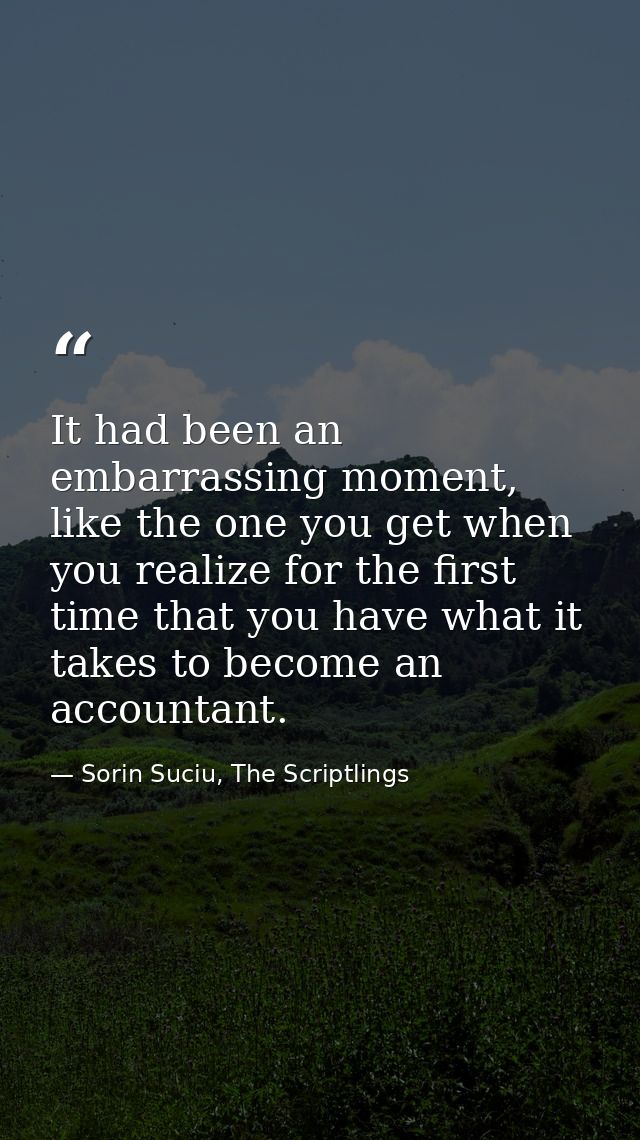 It had been an embarrassing moment, like the one you get when you realize for the first time that you have what it takes — Sorin Suciu, The Scriptlings