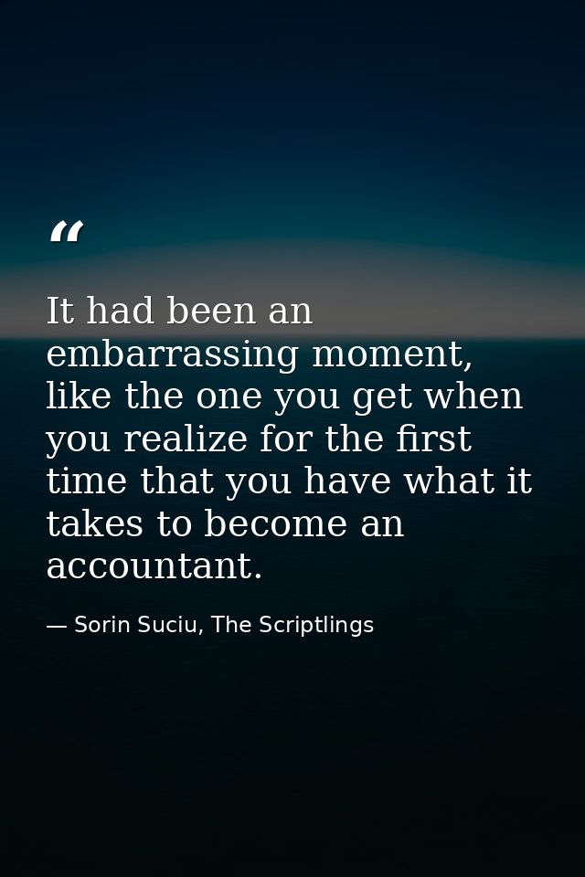 It had been an embarrassing moment, like the one you get when you realize for the first time that you have what it takes — Sorin Suciu, The Scriptlings