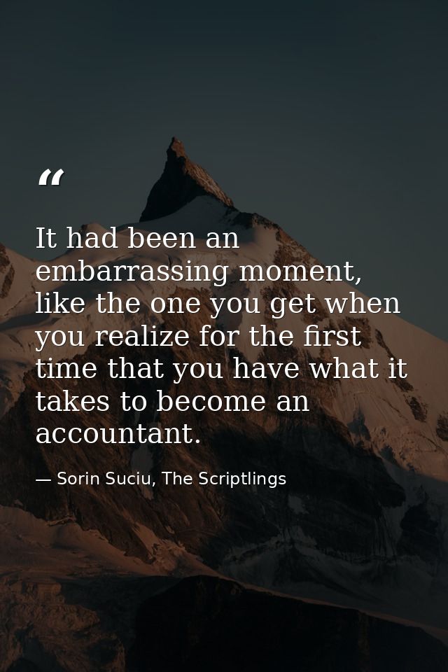 It had been an embarrassing moment, like the one you get when you realize for the first time that you have what it takes — Sorin Suciu, The Scriptlings