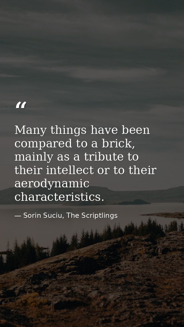 Many things have been compared to a brick, mainly as a tribute to their intellect or to their aerodynamic characteristic — Sorin Suciu, The Scriptlings
