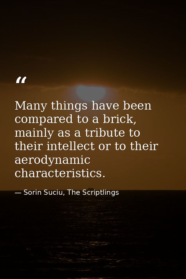Many things have been compared to a brick, mainly as a tribute to their intellect or to their aerodynamic characteristic — Sorin Suciu, The Scriptlings
