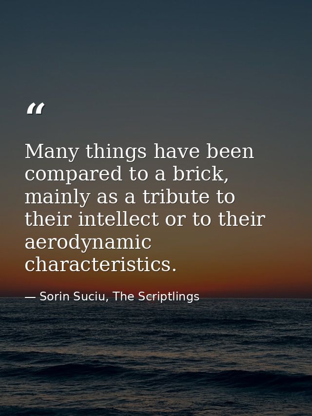 Many things have been compared to a brick, mainly as a tribute to their intellect or to their aerodynamic characteristic — Sorin Suciu, The Scriptlings
