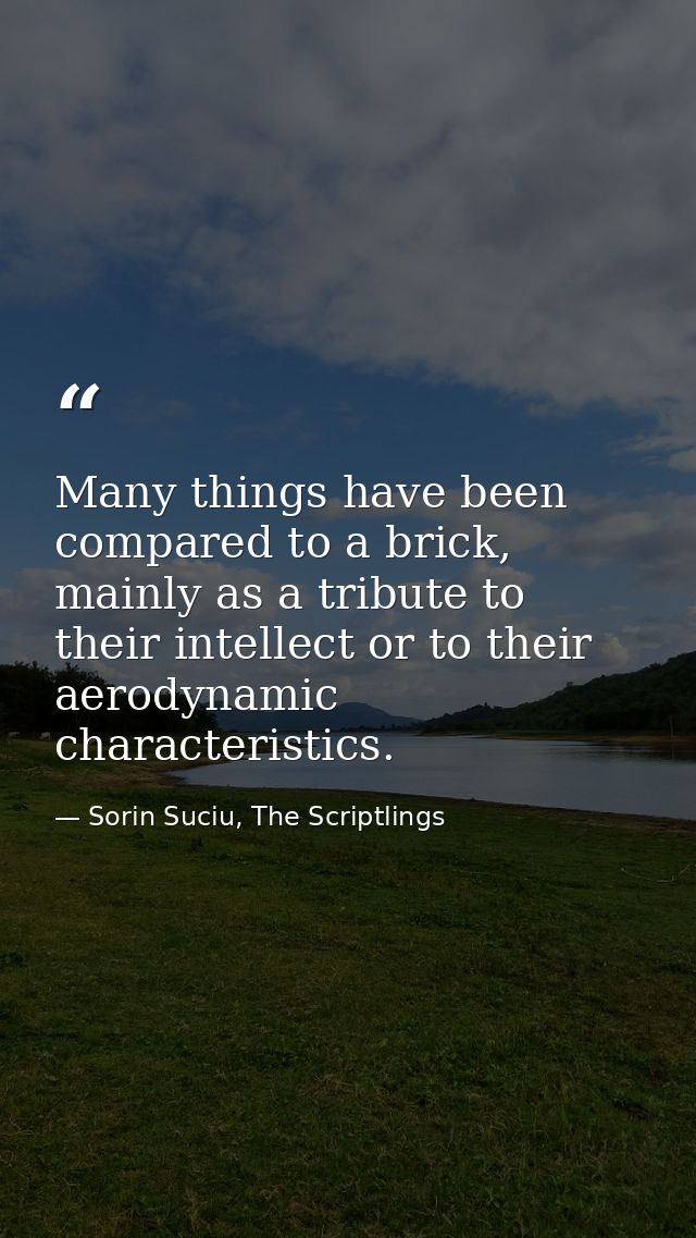 Many things have been compared to a brick, mainly as a tribute to their intellect or to their aerodynamic characteristic — Sorin Suciu, The Scriptlings