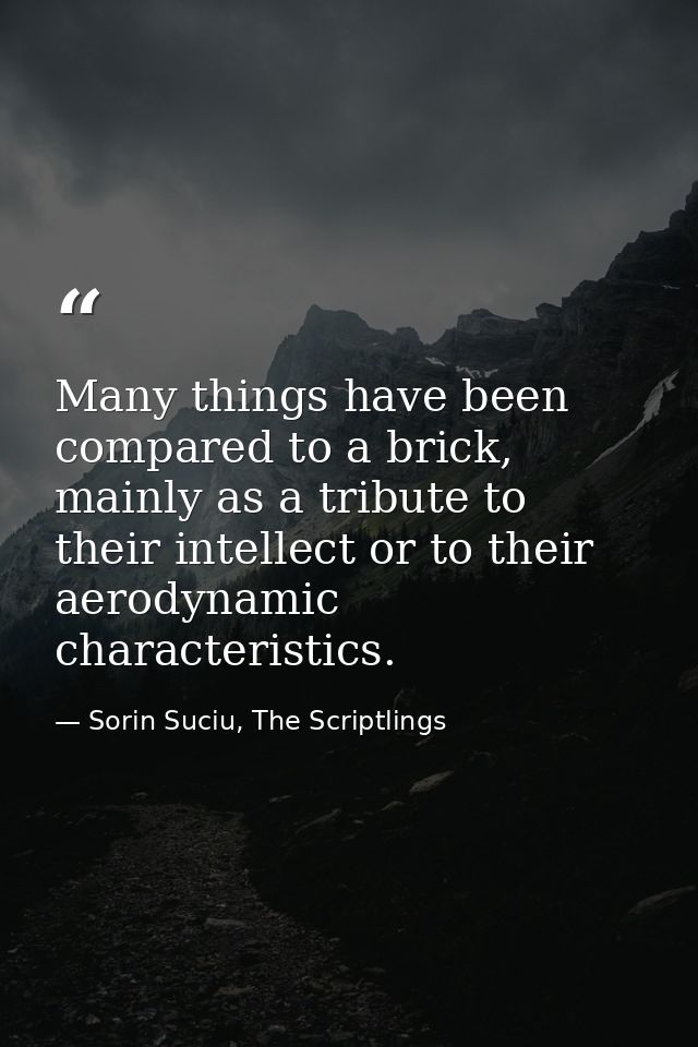 Many things have been compared to a brick, mainly as a tribute to their intellect or to their aerodynamic characteristic — Sorin Suciu, The Scriptlings