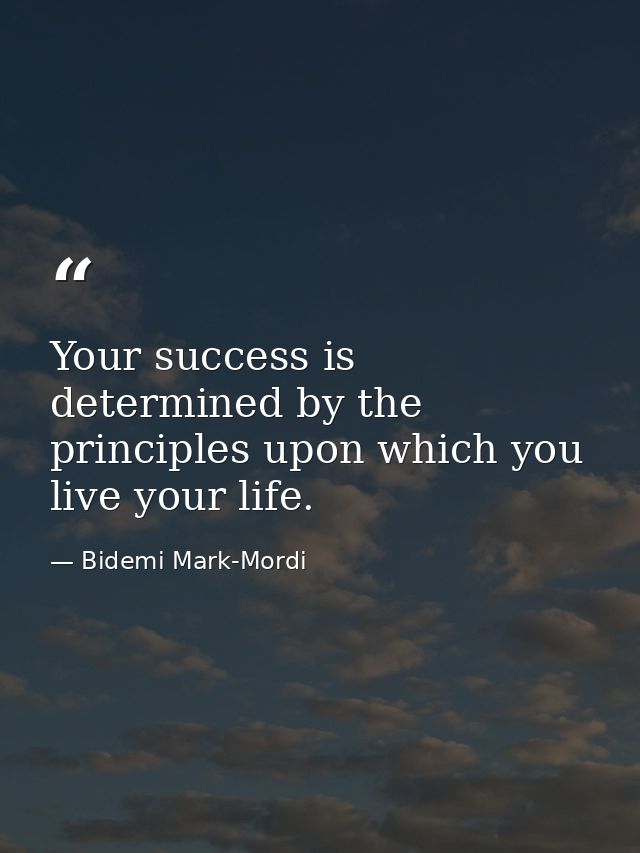 Your success is determined by the principles upon which you live your life. — Bidemi Mark-Mordi