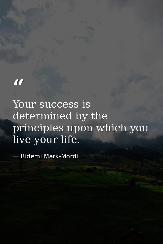 Your success is determined by the principles upon which you live your life. — Bidemi Mark-Mordi