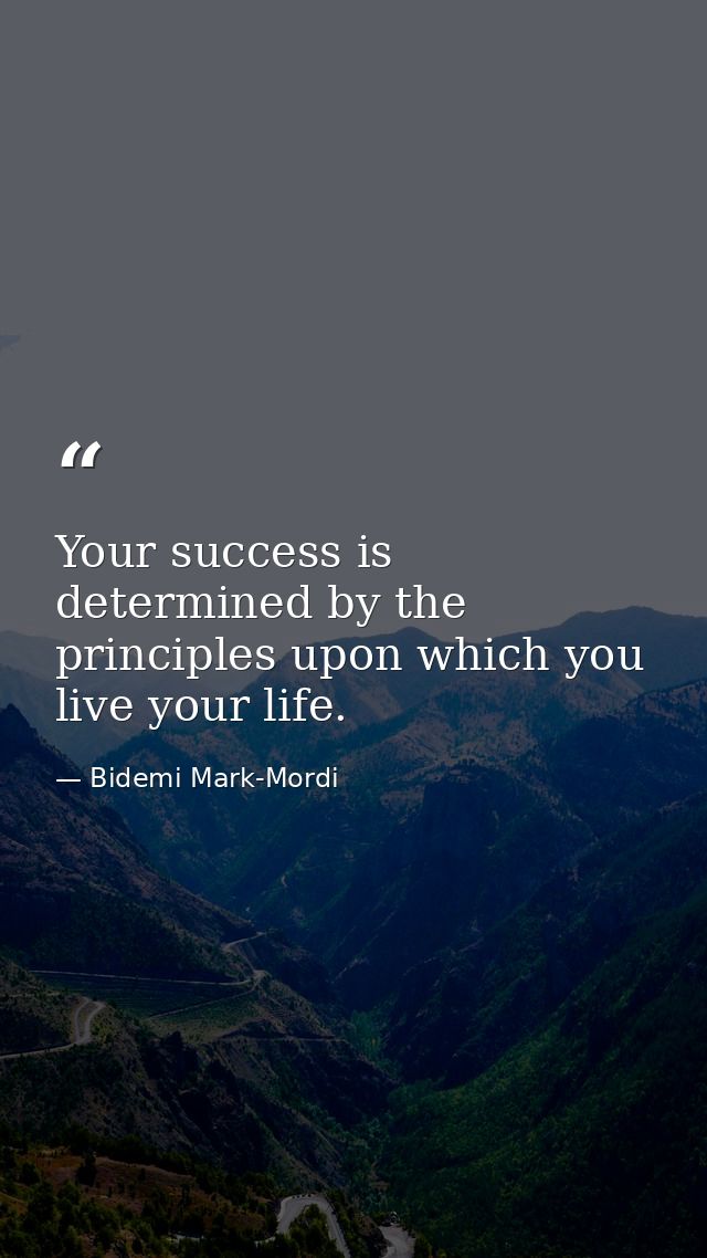 Your success is determined by the principles upon which you live your life. — Bidemi Mark-Mordi