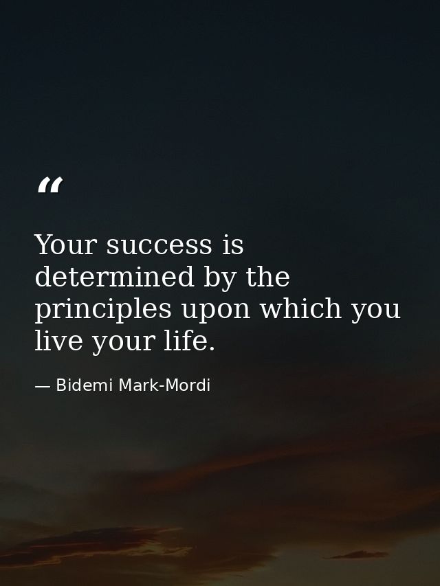 Your success is determined by the principles upon which you live your life. — Bidemi Mark-Mordi