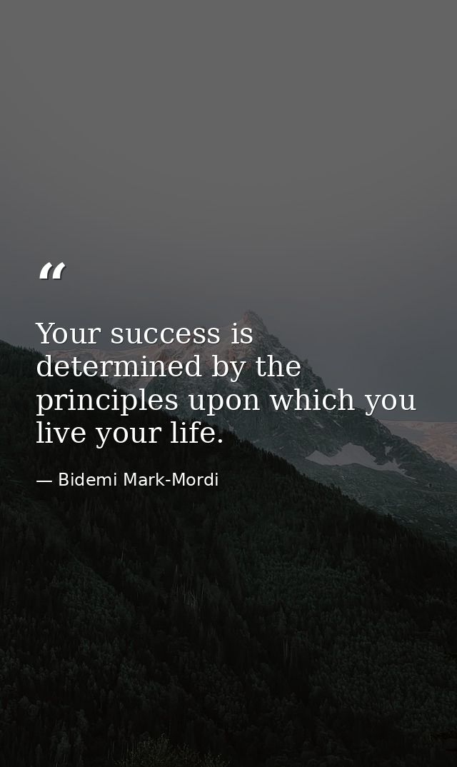 Your success is determined by the principles upon which you live your life. — Bidemi Mark-Mordi