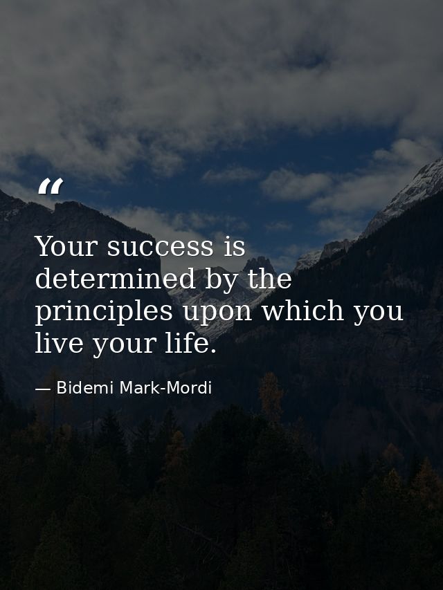 Your success is determined by the principles upon which you live your life. — Bidemi Mark-Mordi