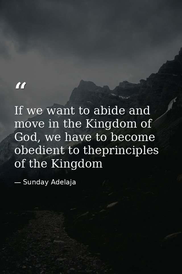 If we want to abide and move in the Kingdom of God, we have to become obedient to theprinciples of the Kingdom — Sunday Adelaja