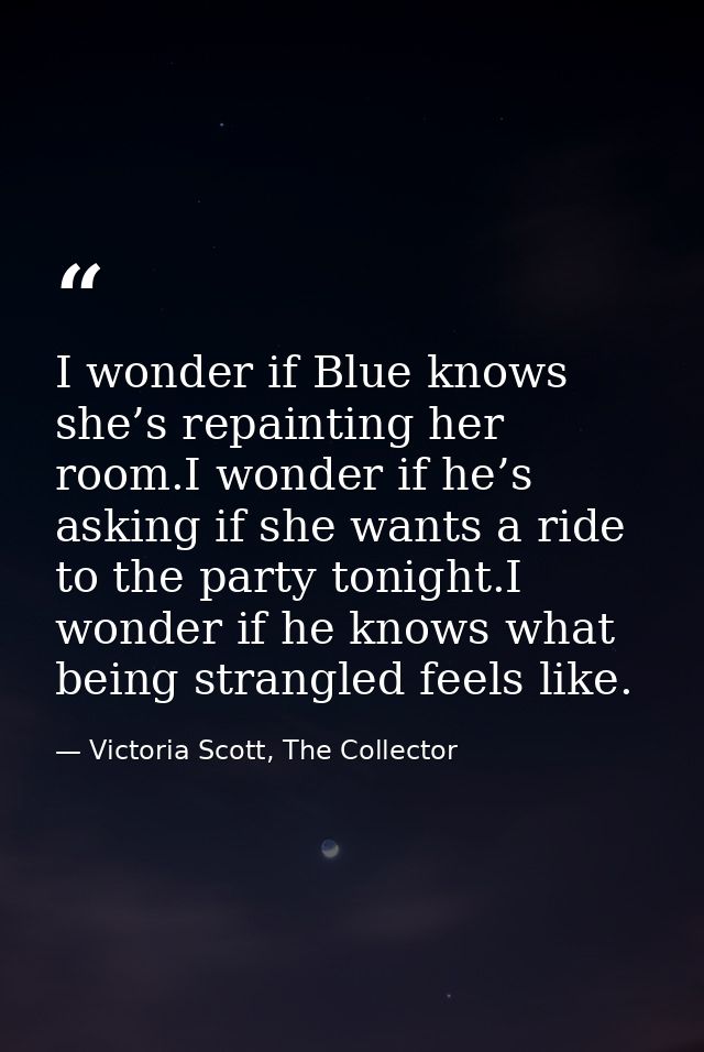 I wonder if Blue knows she’s repainting her room.I wonder if he’s asking if she wants a ride to the party tonight.I wond — Victoria Scott, The Collector