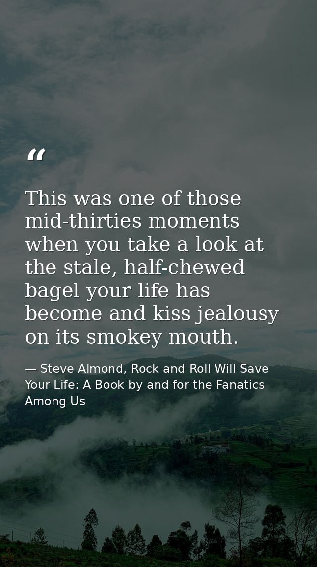 This was one of those mid-thirties moments when you take a look at the stale, half-chewed bagel your life has become and — Steve Almond, Rock and Roll Will Save Your Life: A Book by and for the Fanatics Among Us