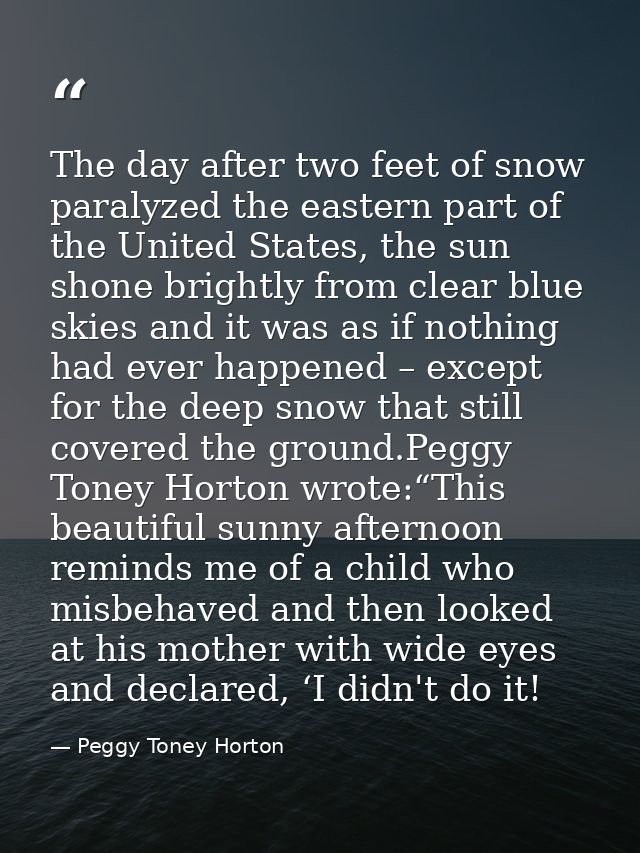 The day after two feet of snow paralyzed the eastern part of the United States, the sun shone brightly from clear blue s — Peggy Toney Horton