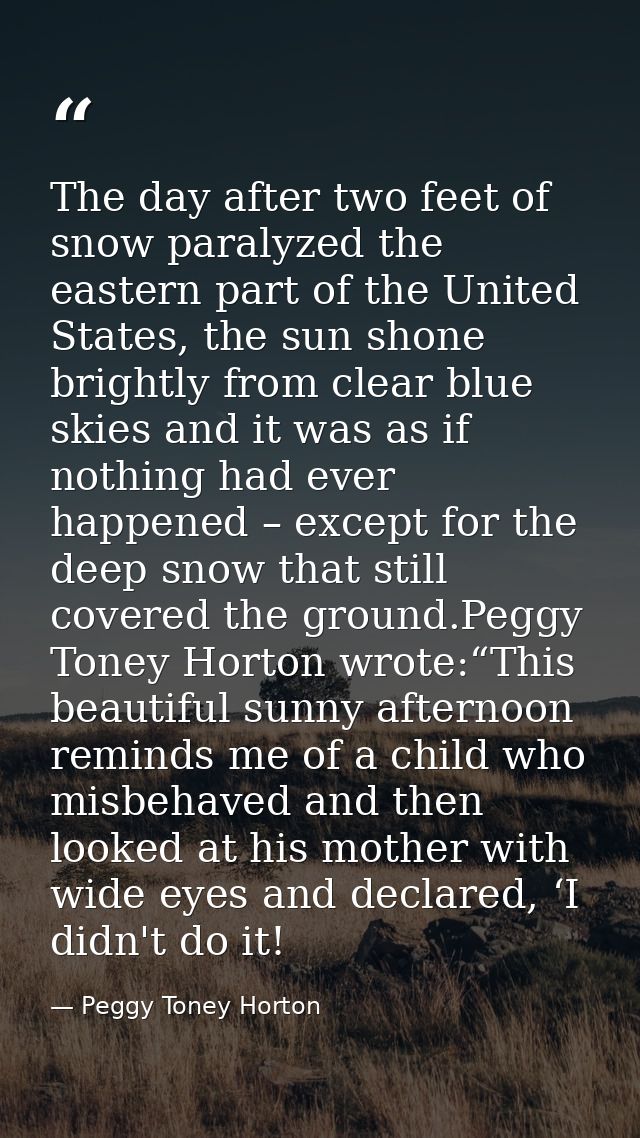 The day after two feet of snow paralyzed the eastern part of the United States, the sun shone brightly from clear blue s — Peggy Toney Horton
