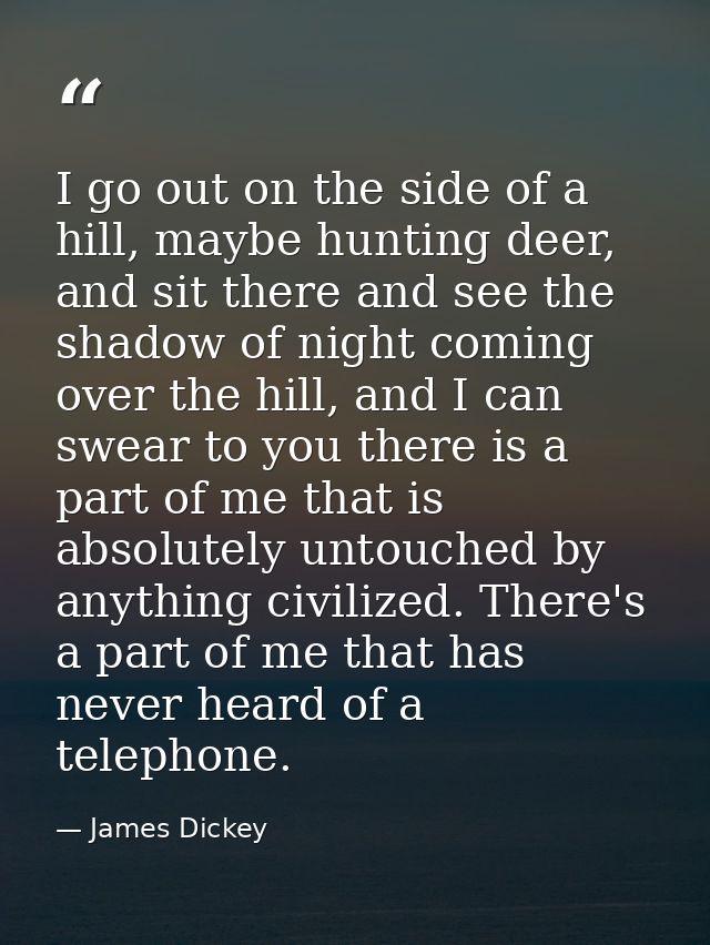 I go out on the side of a hill, maybe hunting deer, and sit there and see the shadow of night coming over the hill, and  — James Dickey