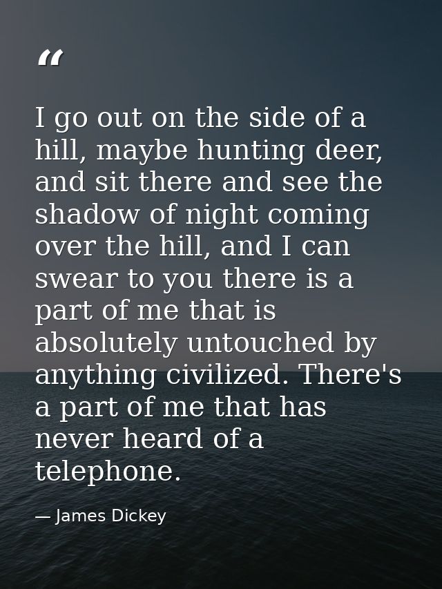 I go out on the side of a hill, maybe hunting deer, and sit there and see the shadow of night coming over the hill, and  — James Dickey