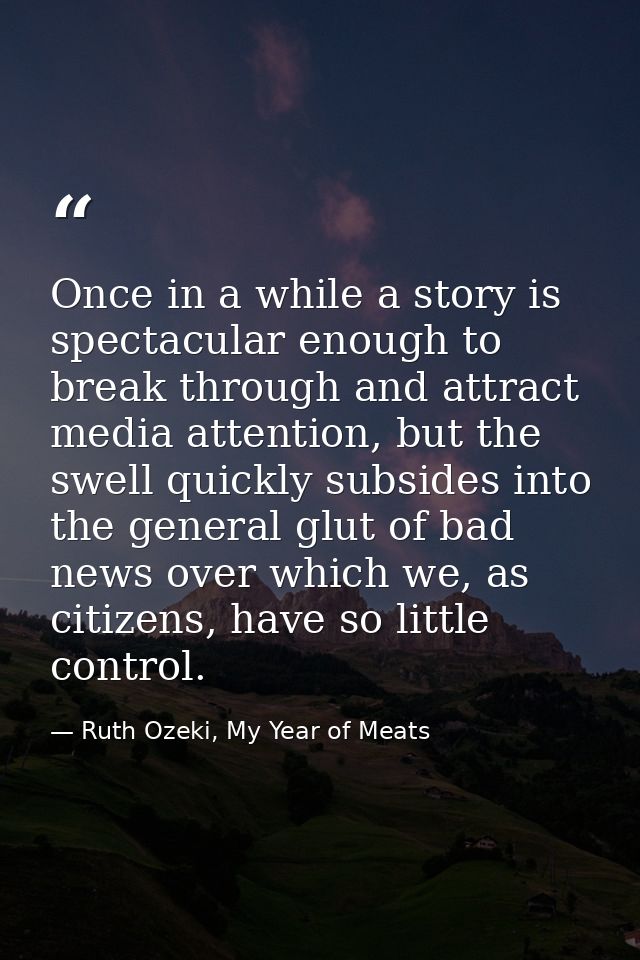 Once in a while a story is spectacular enough to break through and attract media attention, but the swell quickly subsid — Ruth Ozeki, My Year of Meats