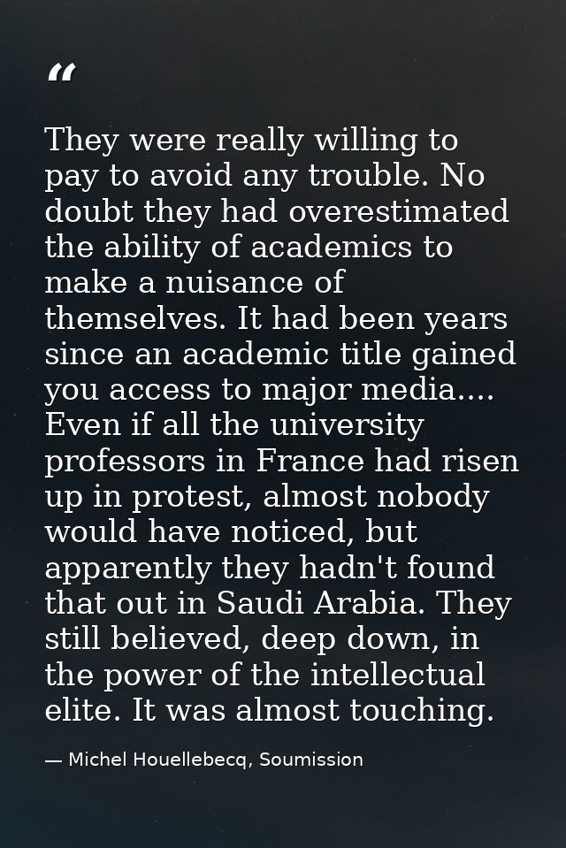 They were really willing to pay to avoid any trouble. No doubt they had overestimated the ability of academics to make a — Michel Houellebecq, Soumission