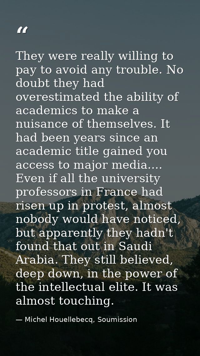 They were really willing to pay to avoid any trouble. No doubt they had overestimated the ability of academics to make a — Michel Houellebecq, Soumission