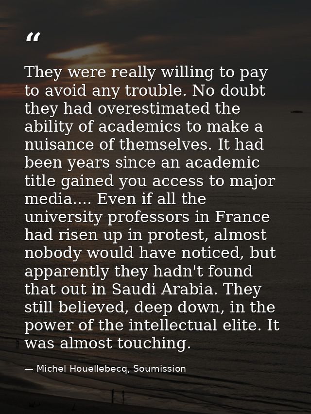 They were really willing to pay to avoid any trouble. No doubt they had overestimated the ability of academics to make a — Michel Houellebecq, Soumission