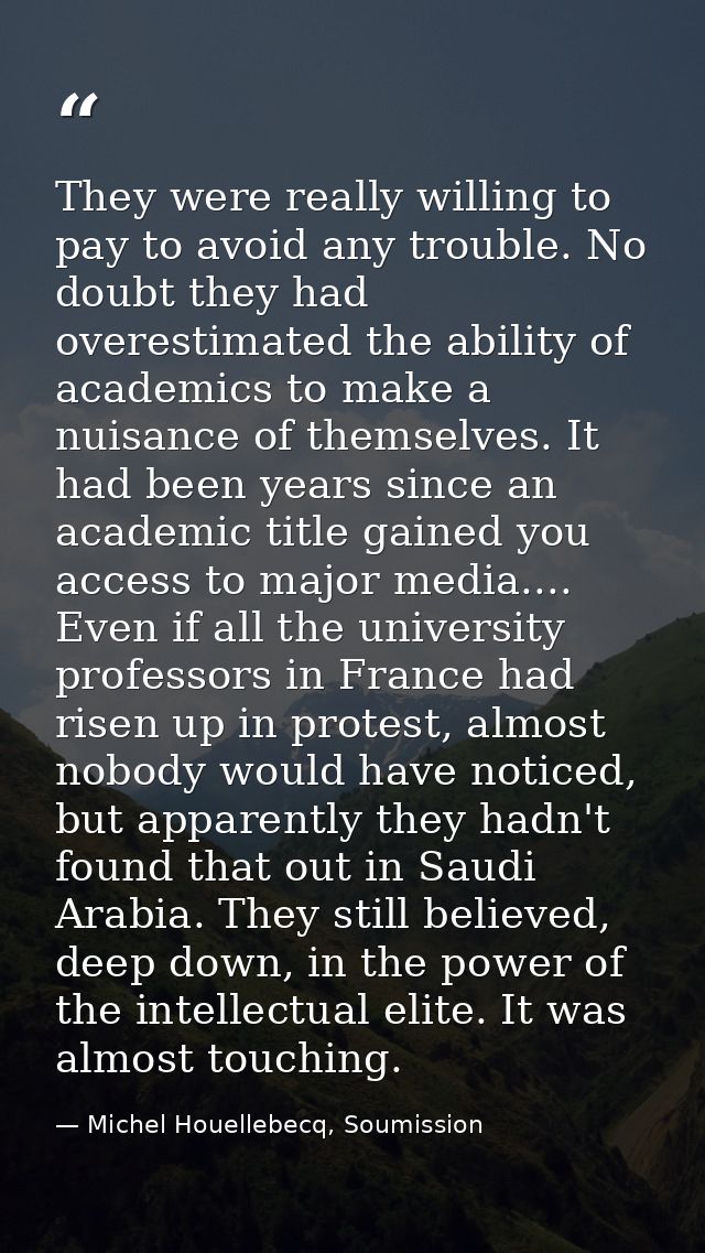 They were really willing to pay to avoid any trouble. No doubt they had overestimated the ability of academics to make a — Michel Houellebecq, Soumission