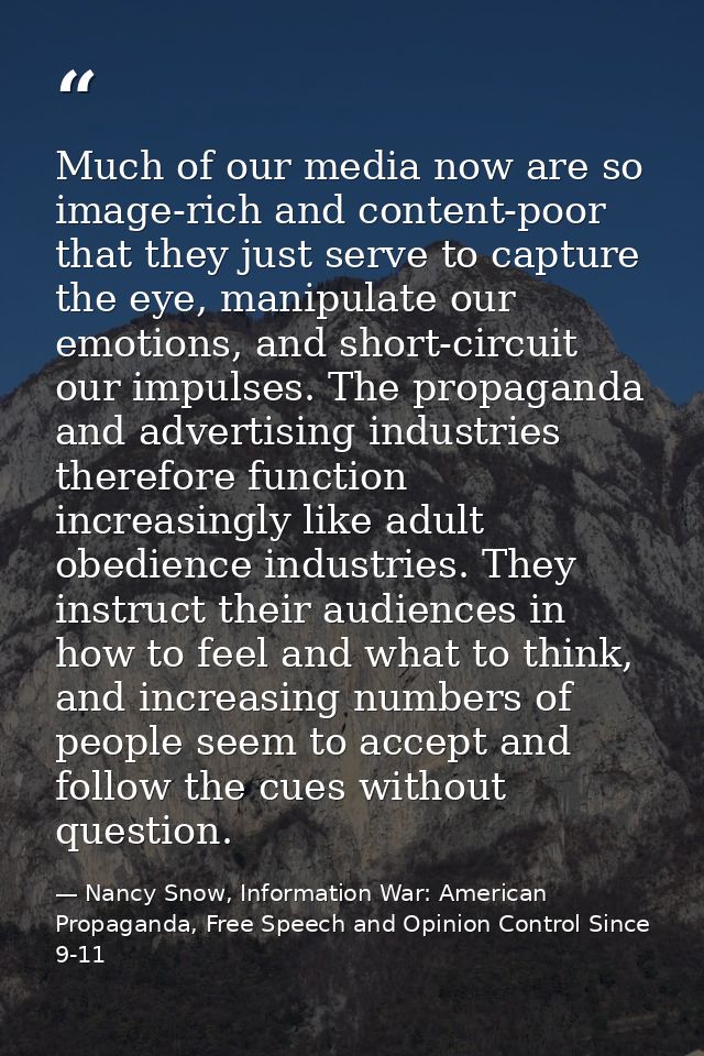 Much of our media now are so image-rich and content-poor that they just serve to capture the eye, manipulate our emotion — Nancy Snow, Information War: American Propaganda, Free Speech and Opinion Control Since 9-11