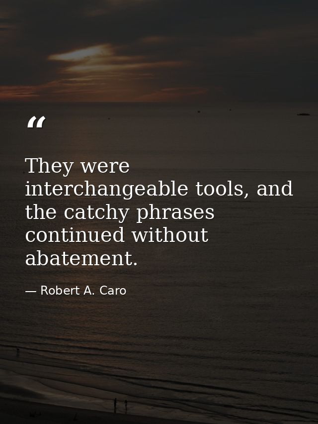 They were interchangeable tools, and the catchy phrases continued without abatement. — Robert A. Caro