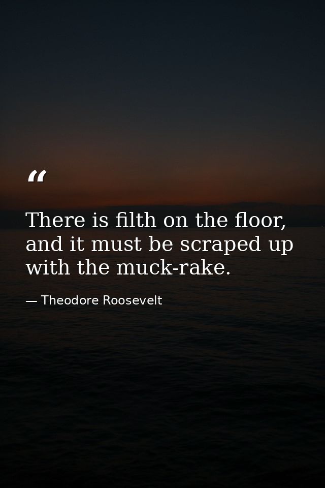 There is filth on the floor, and it must be scraped up with the muck-rake. — Theodore Roosevelt