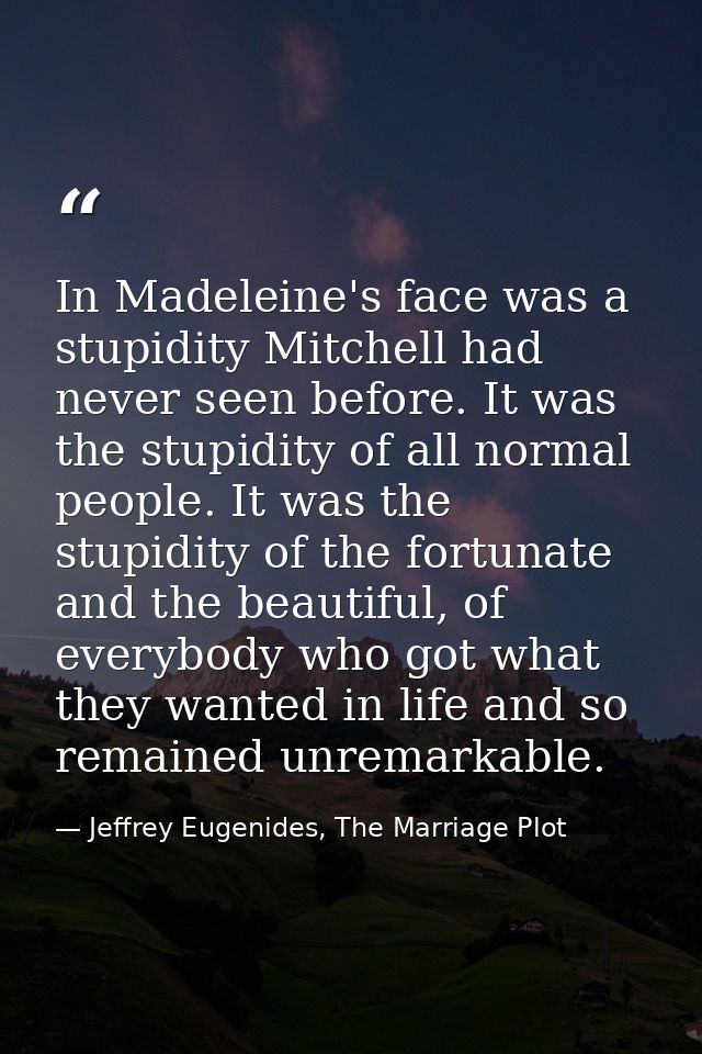 In Madeleine's face was a stupidity Mitchell had never seen before. It was the stupidity of all normal people. It was th — Jeffrey Eugenides, The Marriage Plot