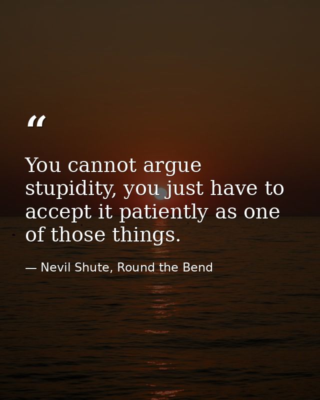 You cannot argue stupidity, you just have to accept it patiently as one of those things. — Nevil Shute, Round the Bend