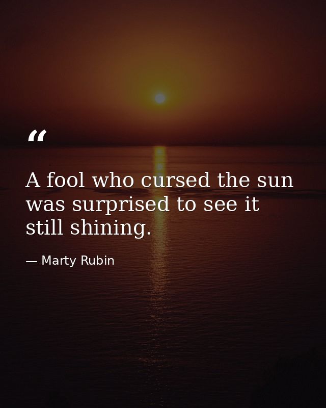 A fool who cursed the sun was surprised to see it still shining. — Marty Rubin