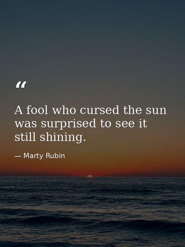 A fool who cursed the sun was surprised to see it still shining. — Marty Rubin
