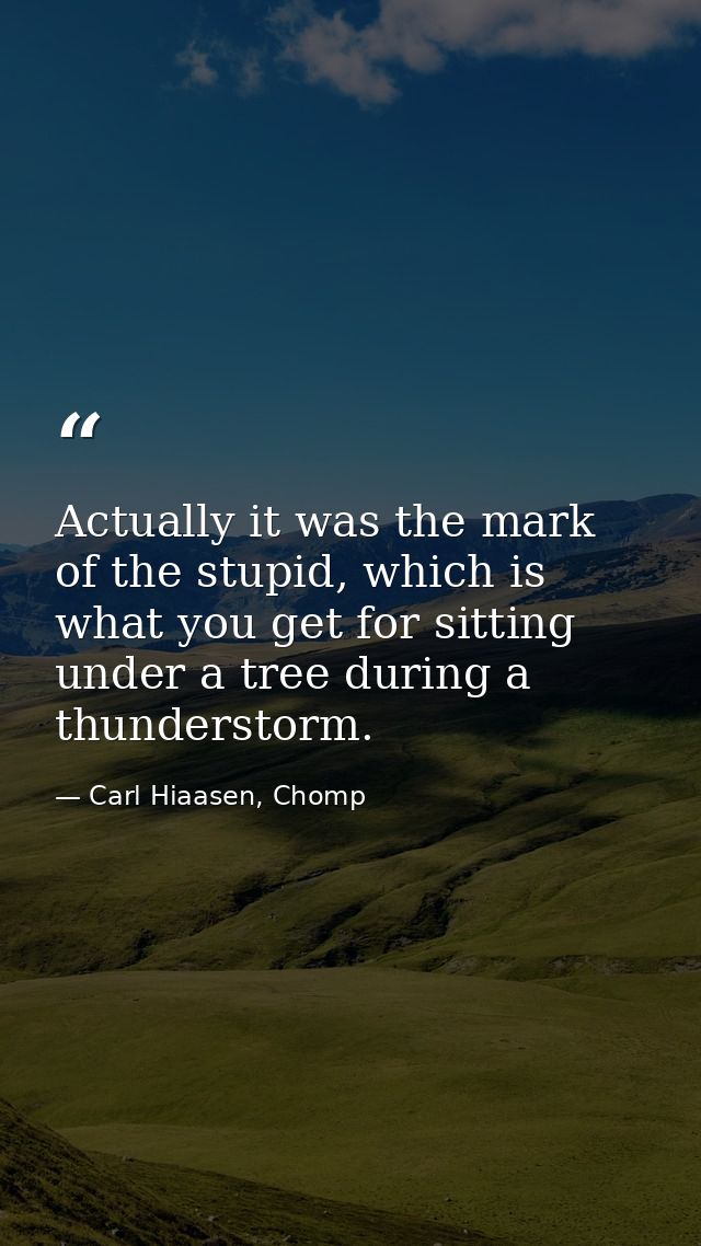 Actually it was the mark of the stupid, which is what you get for sitting under a tree during a thunderstorm. — Carl Hiaasen, Chomp