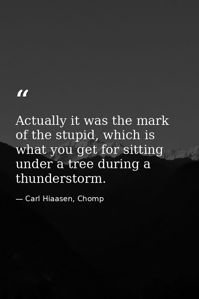 Actually it was the mark of the stupid, which is what you get for sitting under a tree during a thunderstorm. — Carl Hiaasen, Chomp