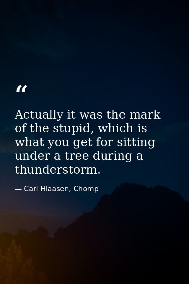 Actually it was the mark of the stupid, which is what you get for sitting under a tree during a thunderstorm. — Carl Hiaasen, Chomp