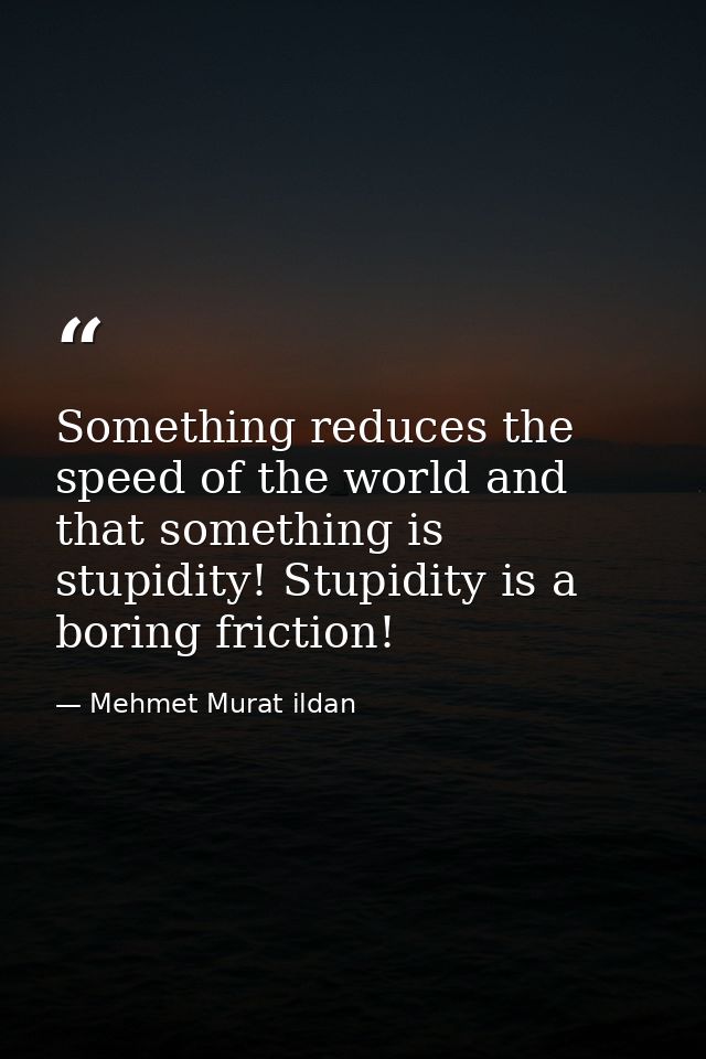 Something reduces the speed of the world and that something is stupidity! Stupidity is a boring friction! — Mehmet Murat ildan