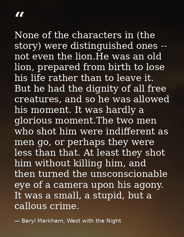 None of the characters in (the story) were distinguished ones -- not even the lion.He was an old lion, prepared from bir — Beryl Markham, West with the Night