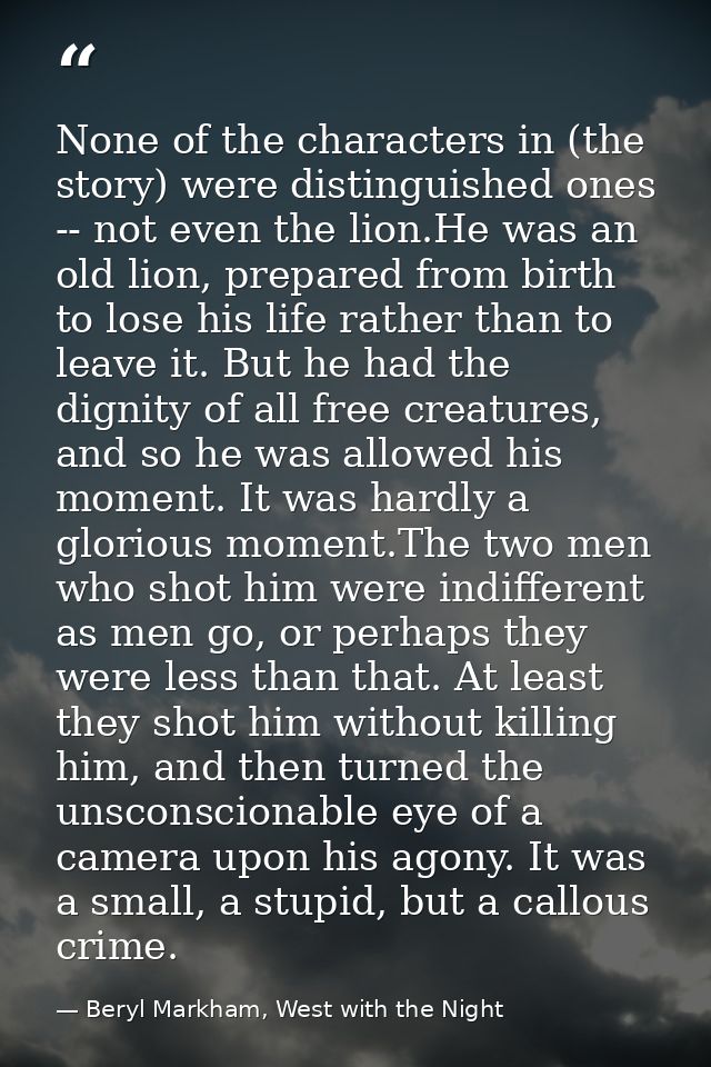None of the characters in (the story) were distinguished ones -- not even the lion.He was an old lion, prepared from bir — Beryl Markham, West with the Night