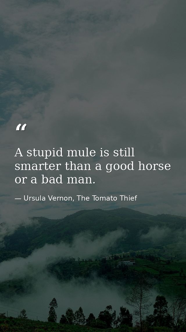 A stupid mule is still smarter than a good horse or a bad man. — Ursula Vernon, The Tomato Thief