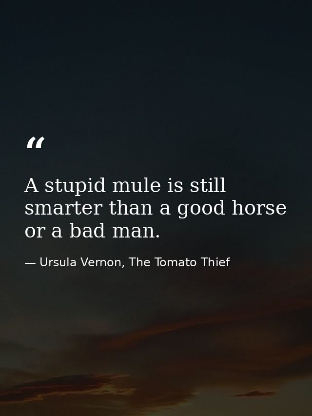 A stupid mule is still smarter than a good horse or a bad man. — Ursula Vernon, The Tomato Thief
