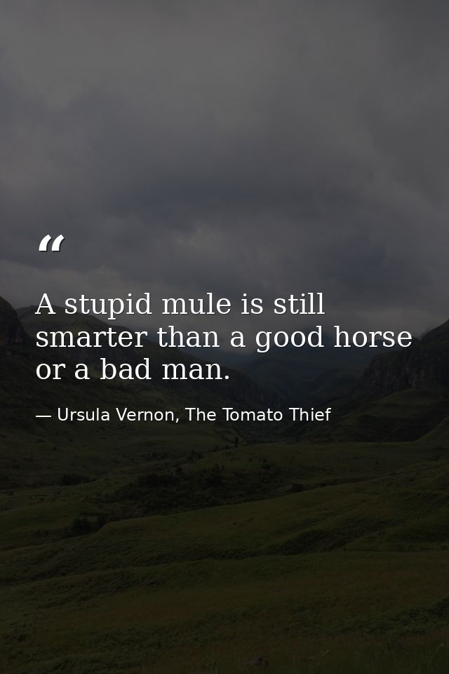 A stupid mule is still smarter than a good horse or a bad man. — Ursula Vernon, The Tomato Thief